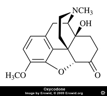 Oxycodone Molecule