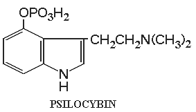 Molcule de Psilocybine