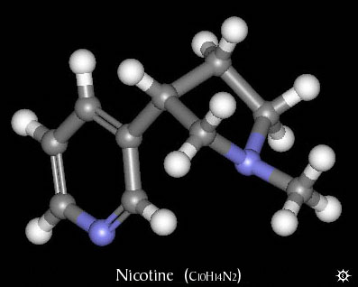 Nicotine Molecule